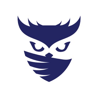 Raid Owl