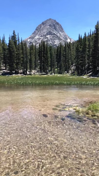 Endless meadows and crystal clear winding rivers of the Sierra Nevada live rent free in my mind. 
Lately I feel the pull