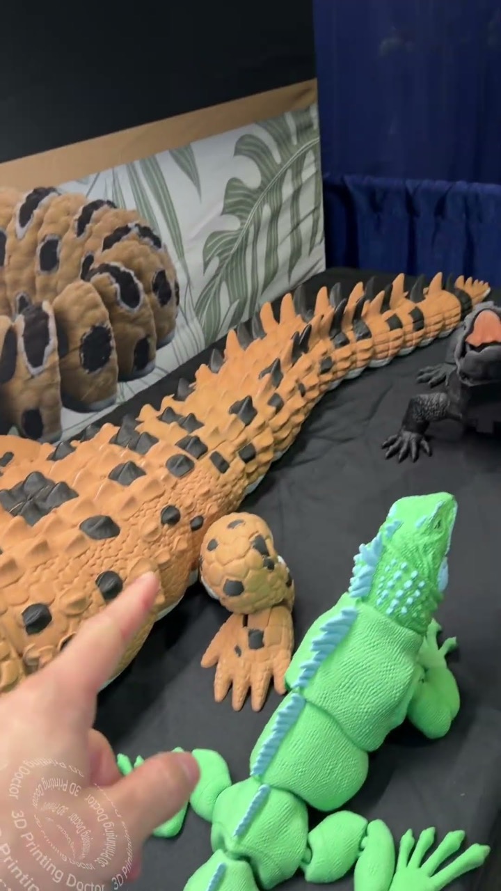 I put my hand into the mouth of Giant crocodile 🐊