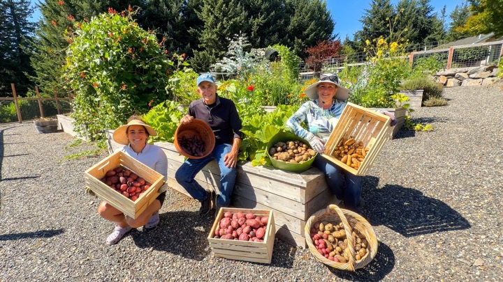 We Harvested Dinner! Garden Chili Over Freshly Dug Potatoes | Potato Harvest 2026
