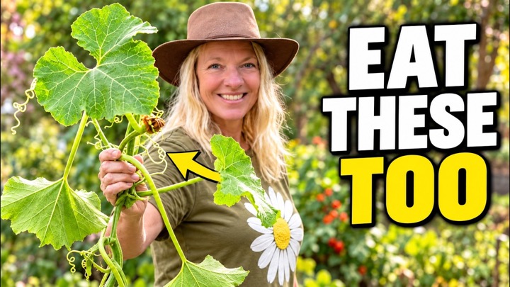 You’re Growing More Food Than You Think—9 Edible Leaves