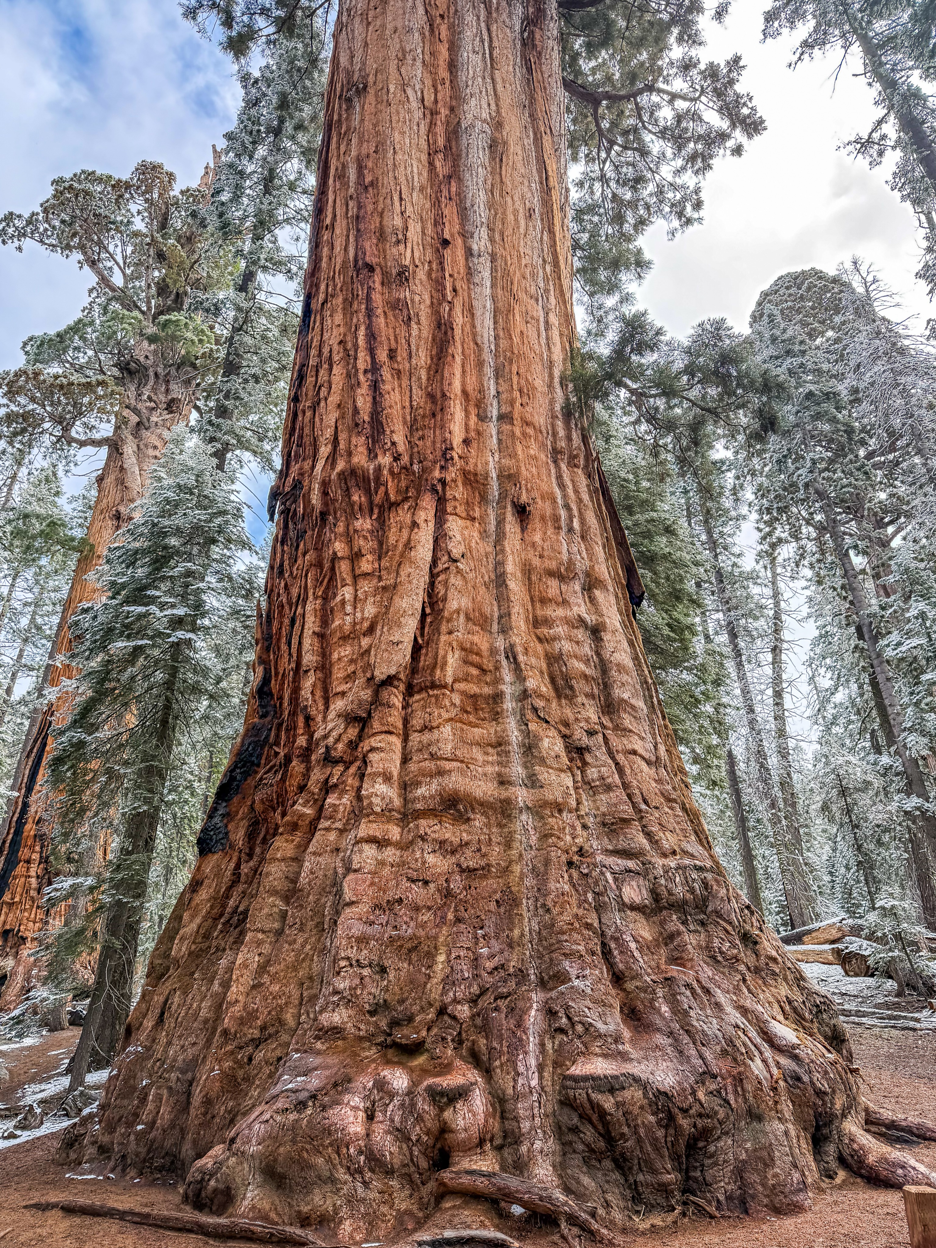 🌿3 DAY ITINERARY🌿

📍Sequoia National Park, CALIFORNIA

Day 1️⃣

·  Giant Forest Museum
·  Big Trees Trail (1.2 mi., 100+ ft)
·  Tokopah F