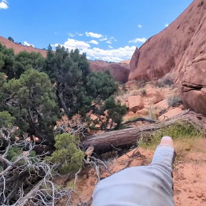 My "favorite tree of the season" award goes to this juniper, which had snaked a root 30 feet along this crack. The horiz