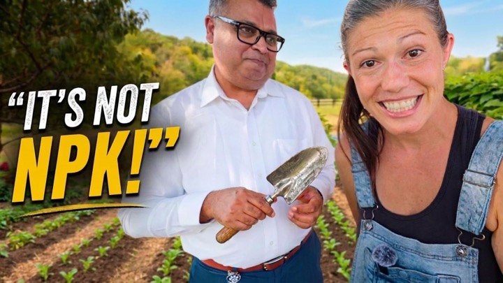 I Asked a Soil Scientist What’s Wrong With Our Gardens (It's Not What You Think)