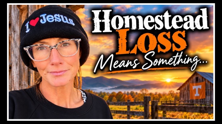 🤔 Homestead Loss is Telling Us THIS...