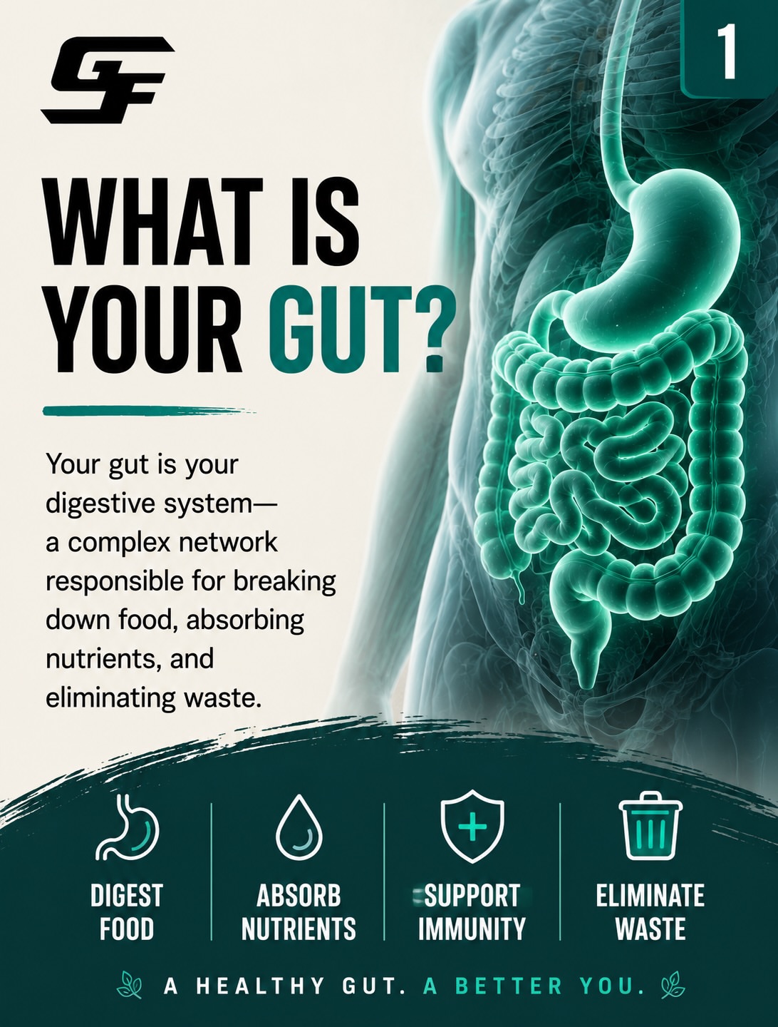 For the past few months I've been on a journey of healing and paying attention to my #gut in order to feel better & optimize my long term health especially reducing inflammation ti