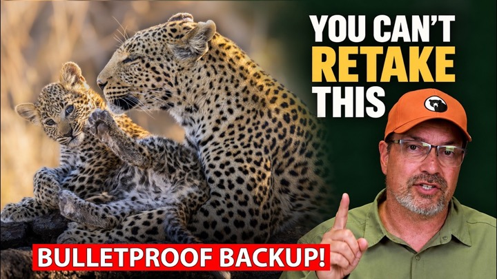 The Photo Backup Mistake That Puts Your Best Shots at Risk