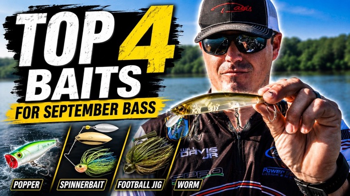 Top 4 Baits for September Bass (and HOW to fish them!)