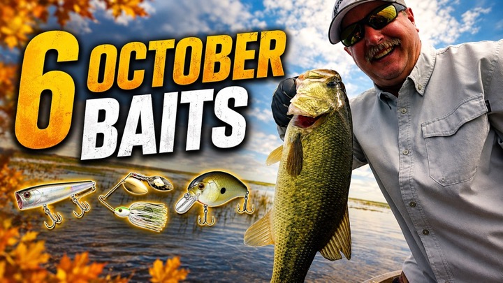 6 Baits That Catch Bass in October