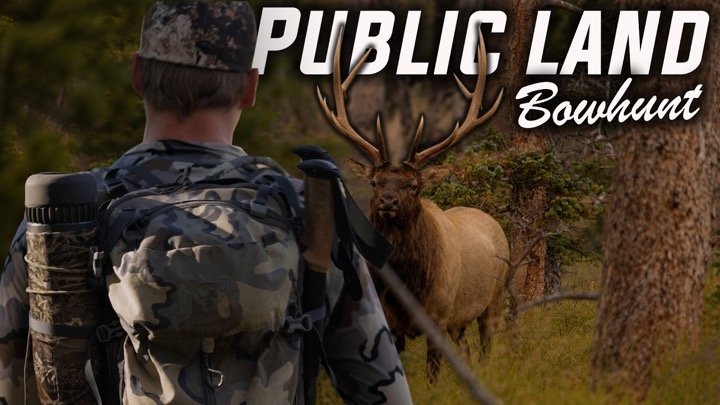 Backcountry Public Land Bowhunt of a Lifetime