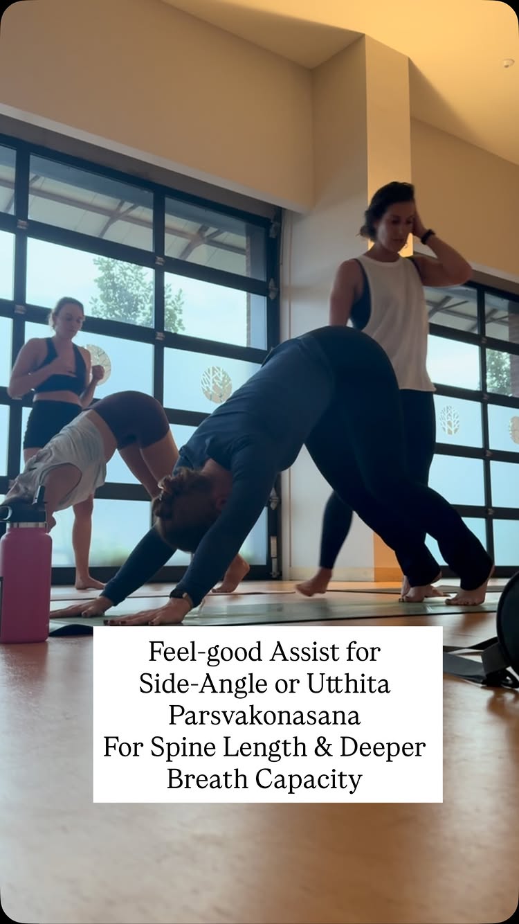 Assists can be both feel-good, alignment focused, and increase breath capacity…

After all the practice is one of longevity so we should learn how to support longevity for students