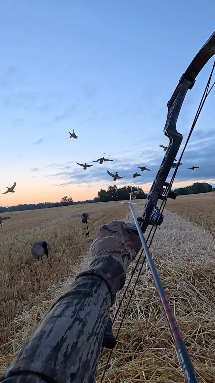 Bow and arrow duck hunting!