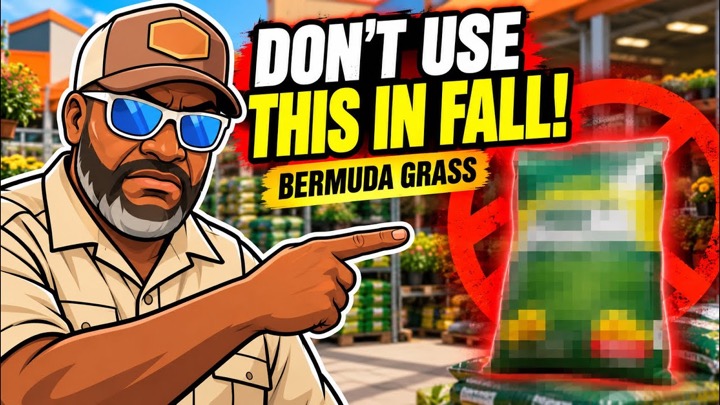 The Bermuda Grass Mistake Most Homeowners Make Every Fall !!