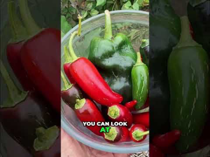 California Gardening โ recent post 4