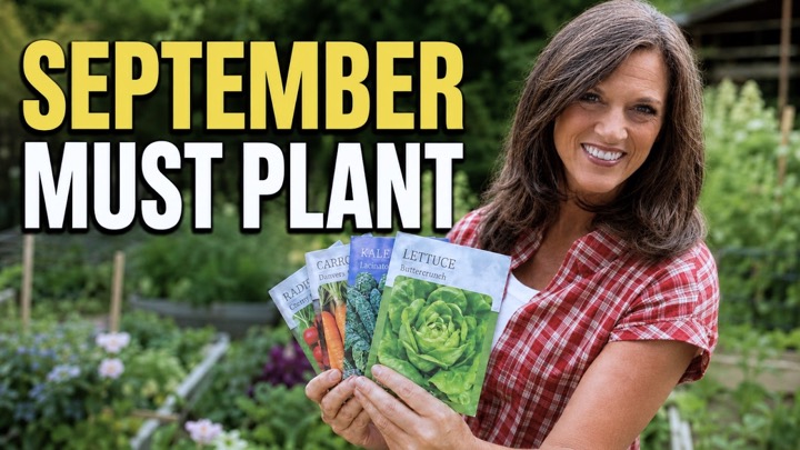 16 Must-Plant Crops for September — No Matter Where You Live