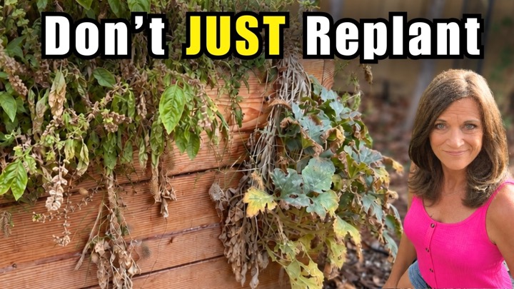 Why Your Raised Bed GROWS FEWER Vegetables Every Year