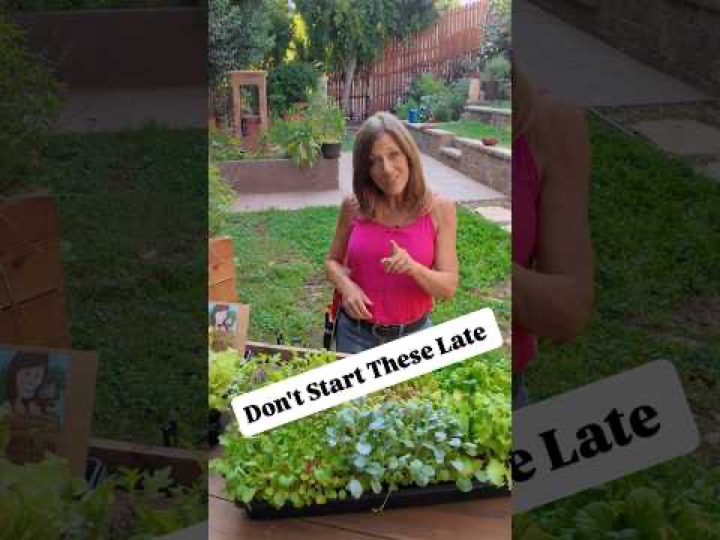 What to Plant In August Before Your Window Closes - Pt 2