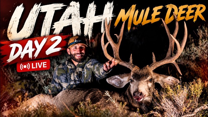 SEMI-LIVE | UTAH MULE DEER | DAY 2 — BIG BUCK DOWN!