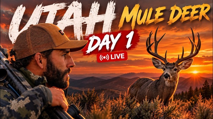 SEMI-LIVE | UTAH MULE DEER | DAY 1 — FROM THE HIGH COUNTRY
