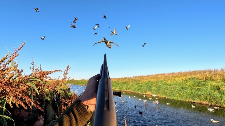 10 Yard Wide TINY CREEK Duck Hunt