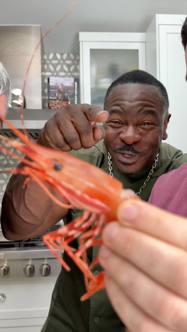 New Pet!! #animals #pet #seafood #delicious #chefrush