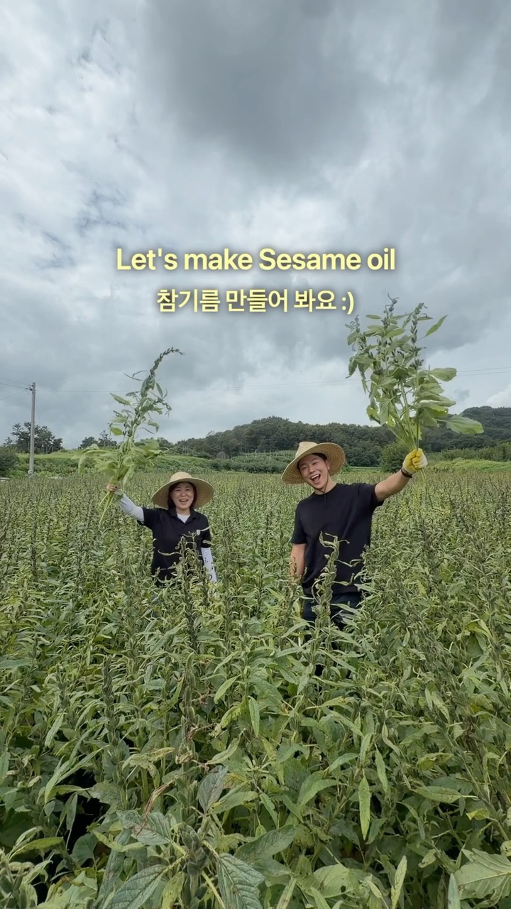 Sesame oil from scratch