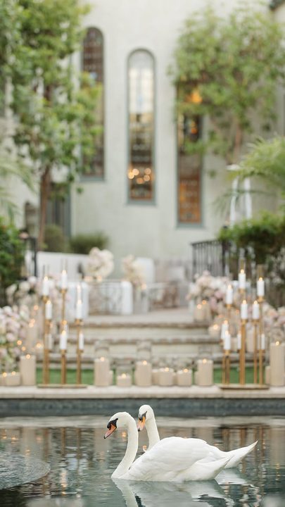 Florals that set the tone! We had the honor of creating magic for this gorgeous engagement party! 

Event Planner: @letspartybyserena 
Floral and design: @larklosangeles  Catering: @yossisevents  Rentals: @create_eventde