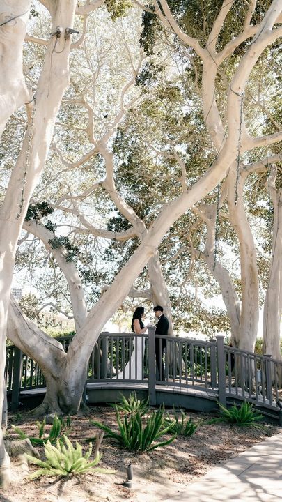 Tears were definitely shed 🥲

Venue | @hyattmissionbay 
HMUA | @makeupbychristranx3 
Wedding Planner | @detailsbykellie 
Florals | @mjsflorals 
Content Creator | @thesocialcreativeclub 
Photographer | @mcartistree 

#fun