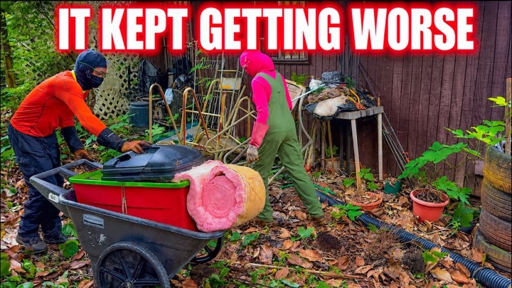 Drake Lawn Care — recent post 4