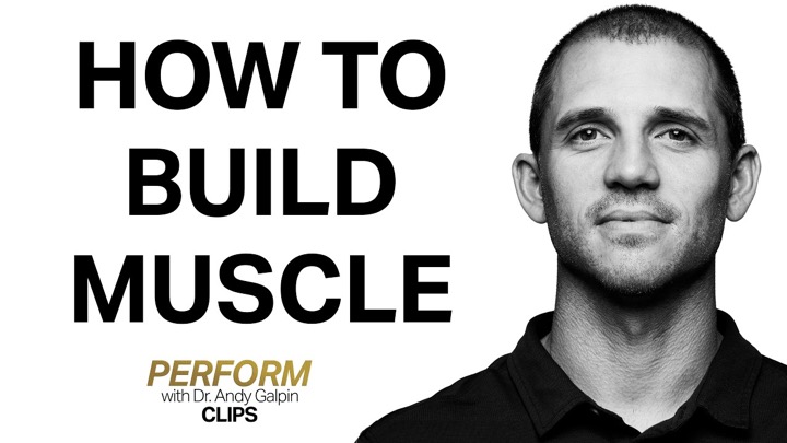 The 72-Hour Rule for Building Muscle | Dr. Andy Galpin