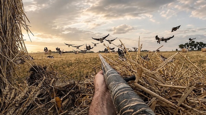 Goose Hunting 2026 Nodak Early Season | 5-Day Full Film