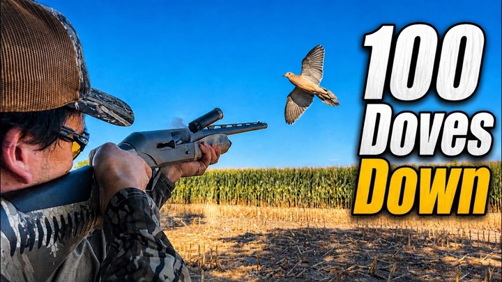 INSANE Dove Hunting | Dove Opener Is Here! | 60 Mins of Action