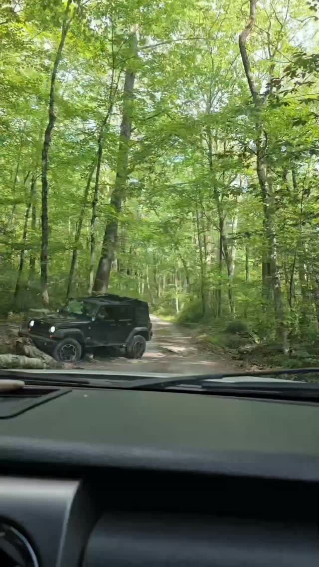 Uh Oh... Another Car Was Coming 😳
We were driving into Vernooy Kill Falls in New York when we realized this one-lane road wasn't quite as e