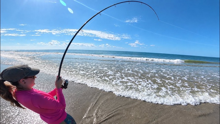Cast A Live Mullet Out & Hold On!