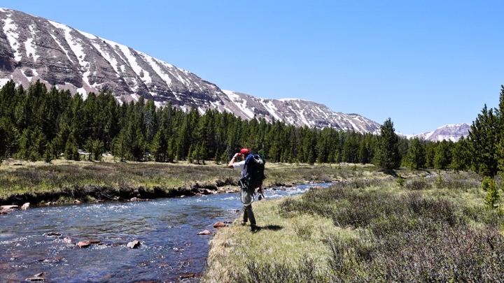 Searching Utah's Backcountry for Native Trout