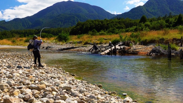 Fly Fishing the Wild West Coast | New Zealand Brown Trout