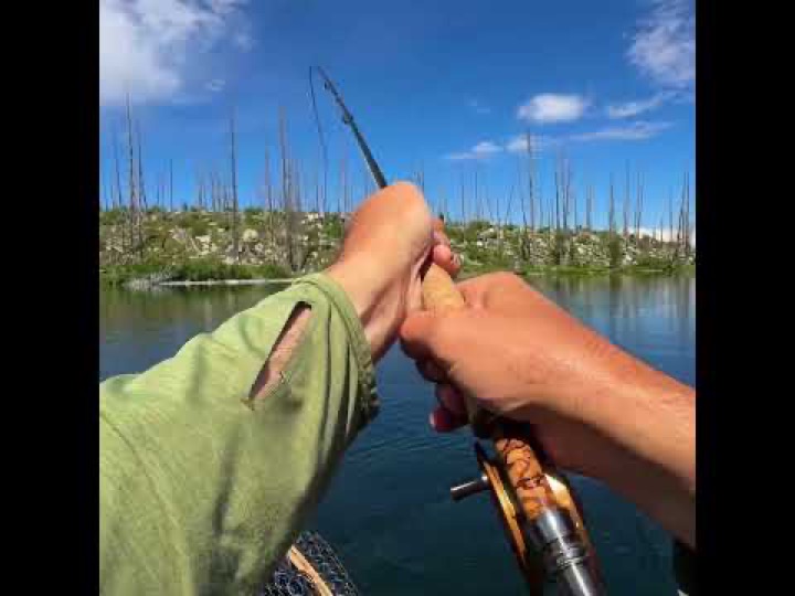 My Biggest Alpine Lake Trout EVER (Fly Fishing)