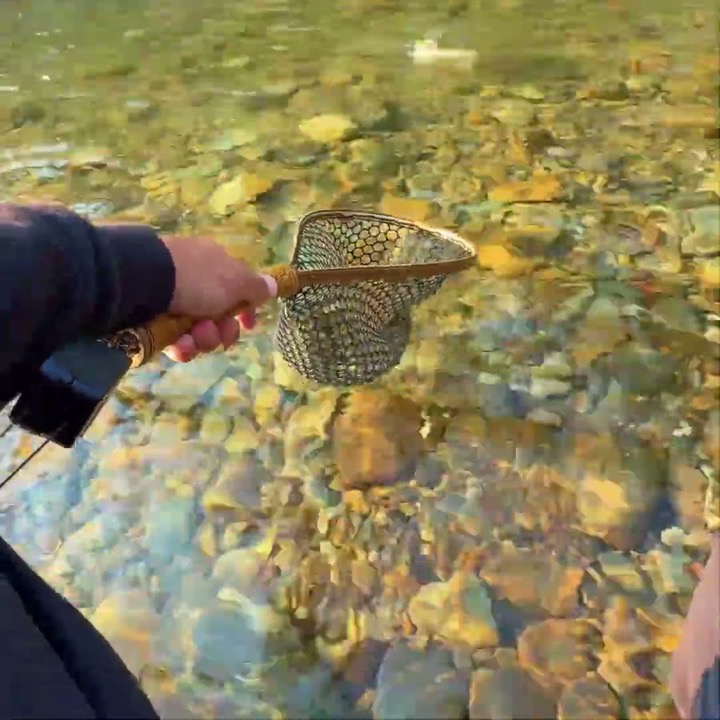 Nothing Better Than Bobber Down! (Fly Fishing for Trout)