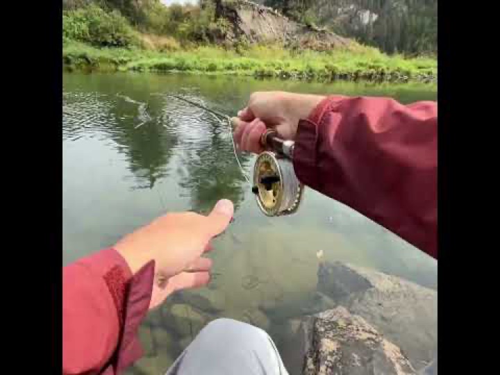 The Sitting Roll Cast for the WIN #flyfishing #trout