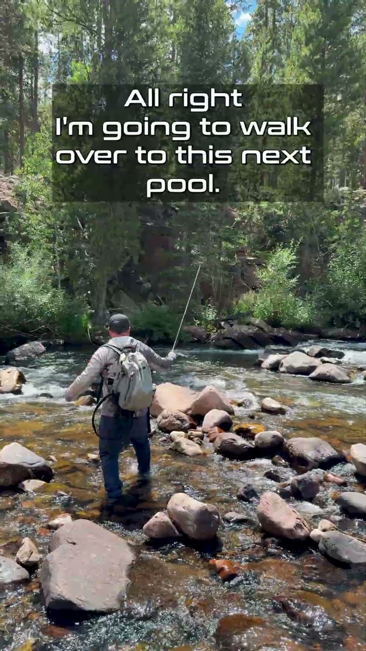 High-Sticking Small Streams for Trout: The Secret to Catching More Fish!