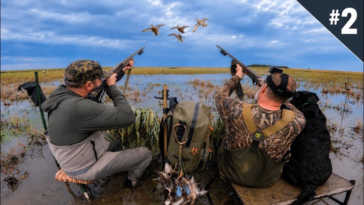 Teal Hunting a Prairie Marsh | Opening Weekend Limits