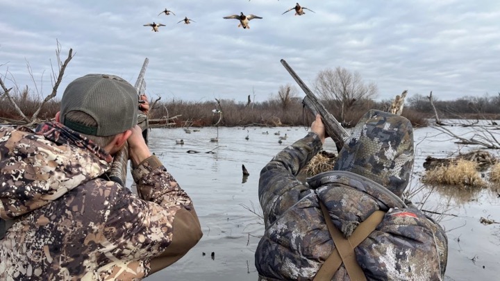 The Best Duck Hunting Season of My Entire Life | September–January
