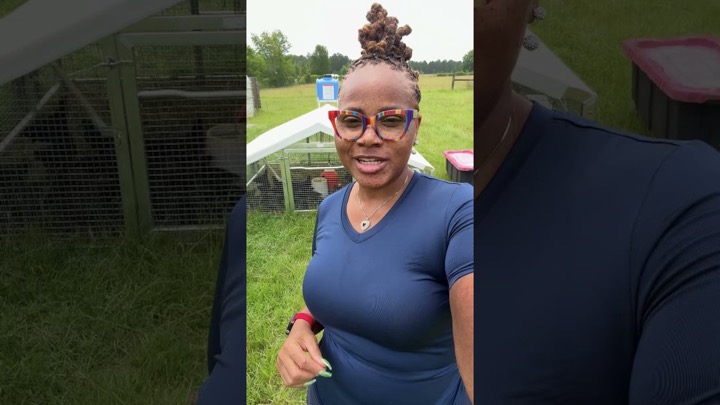 From Hood to Homesteading with Larry & Theresa — recent post 3