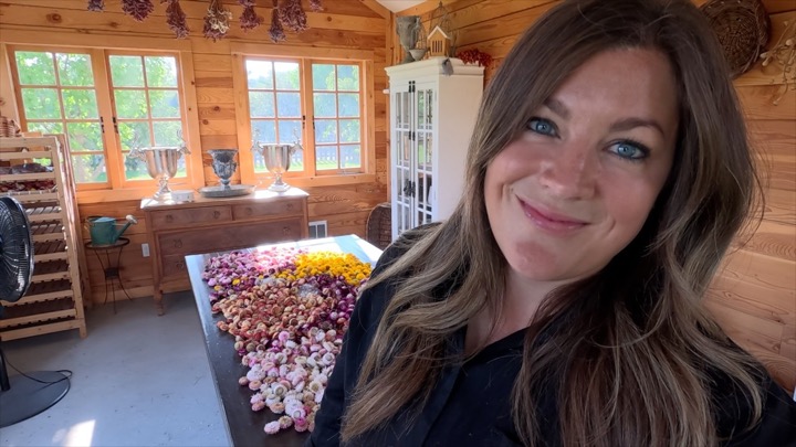 How to Dry Hydrangeas, Pumpkin Update & Homemade Tomato Soup! ✂️🎃🥫