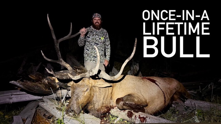 ARCHERY Elk Hunting the RUT | Utah's PREMIUM Elk Unit!