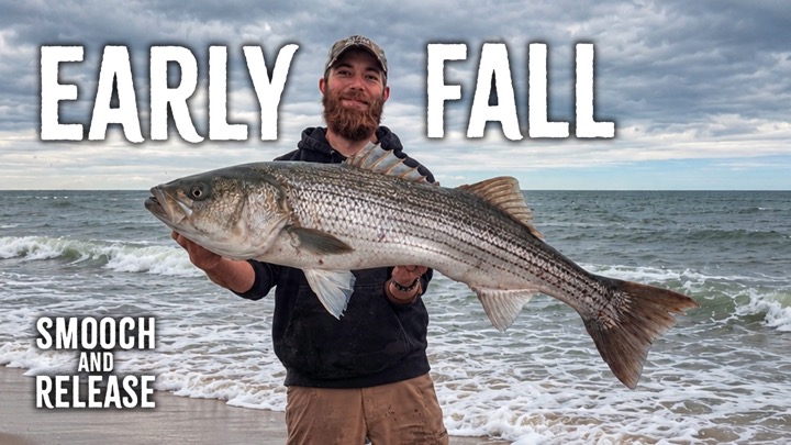 Early FALL RUN Surf Fishing Tips for Striped Bass Fall Run - Smooch and Release