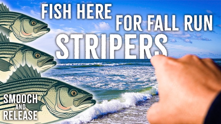 How to Find Striped Bass From the Surf | Read Beach Structure & Find Fish | Smooch and Release