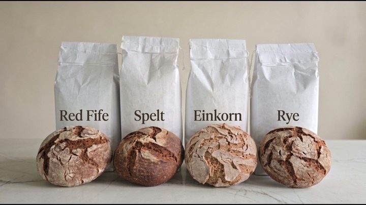 4 Ancient Grains — No Modern Flour Added