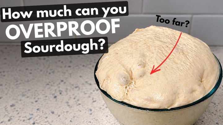 I Took This Sourdough Way Too Far
