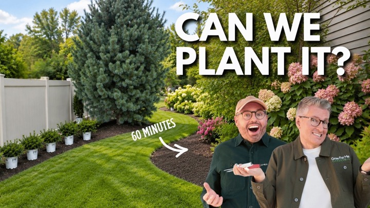 Grow For Me Gardening — recent post 4